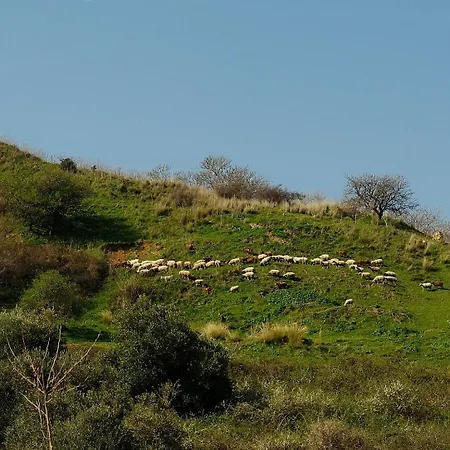 Melia Luxury إيريسوس