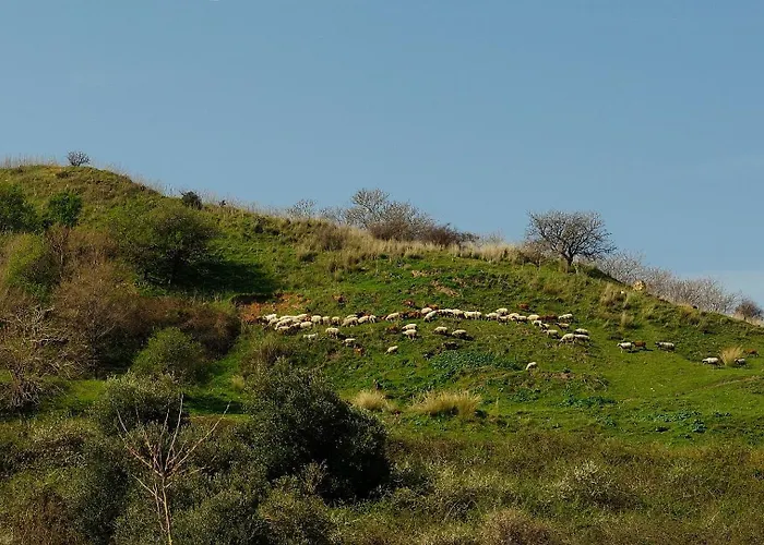 Melia Luxury Ierissos